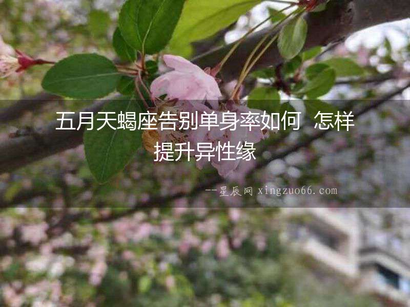 五月天蝎座告別單身率如何  怎樣提升異性緣