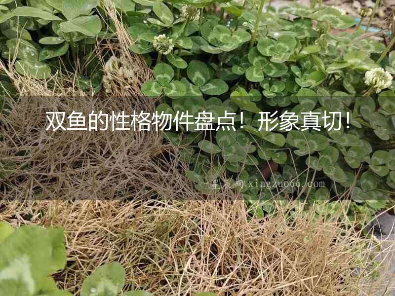 雙魚的性格物件盤點！形象真切！