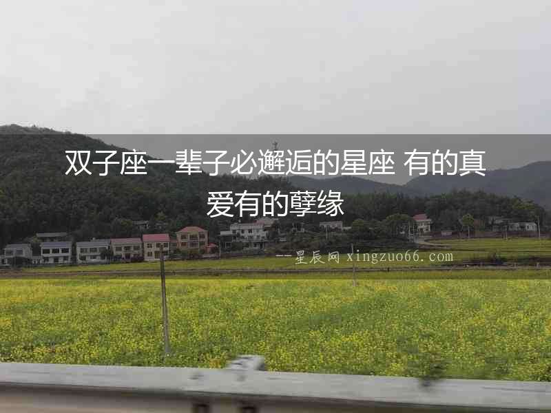 雙子座一輩子必邂逅的星座 有的真愛有的孽緣