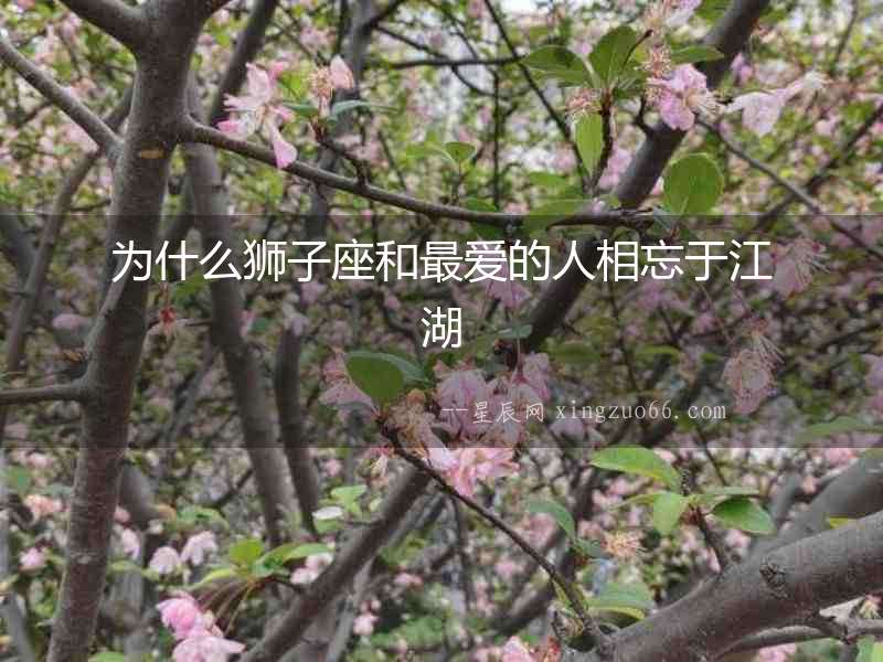 為什么獅子座和最愛的人相忘于江湖