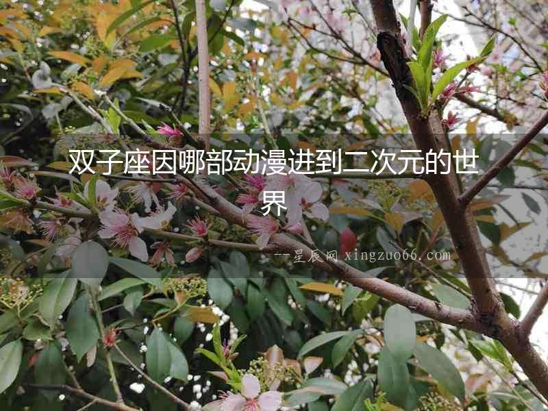 雙子座因哪部動漫進到二次元的世界