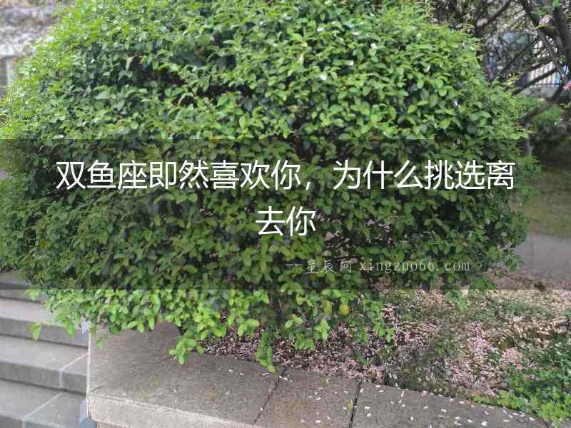 雙魚座即然喜歡你，為什么挑選離去你