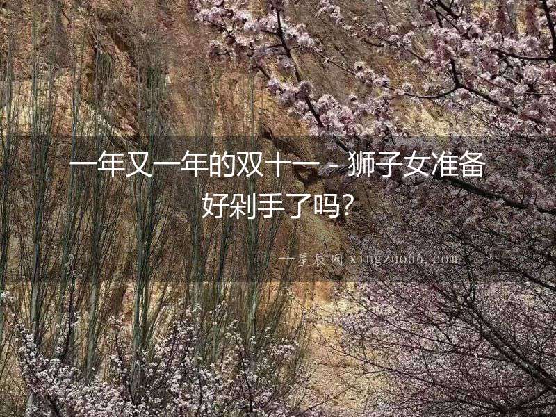 一年又一年的雙十一－獅子女準備好剁手了嗎？