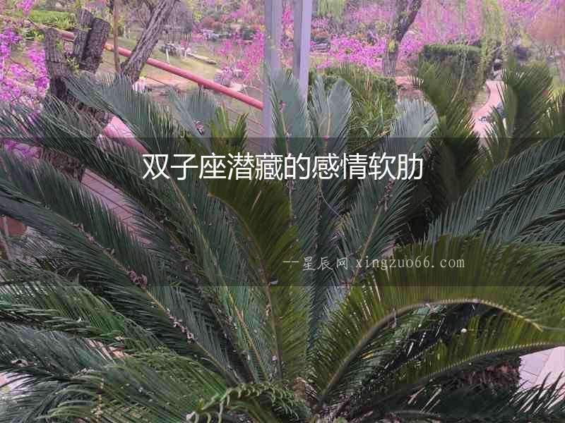 雙子座潛藏的感情軟肋