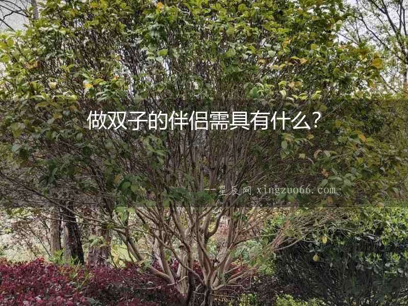 做雙子的伴侶需具有什么？