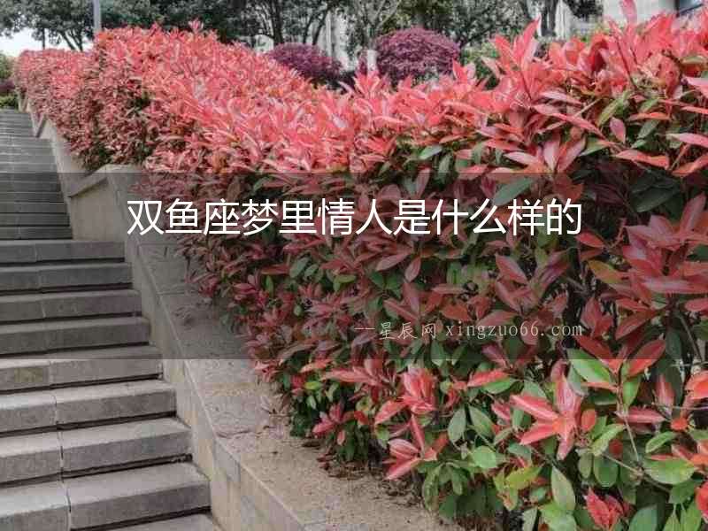 雙魚座夢里情人是什么樣的