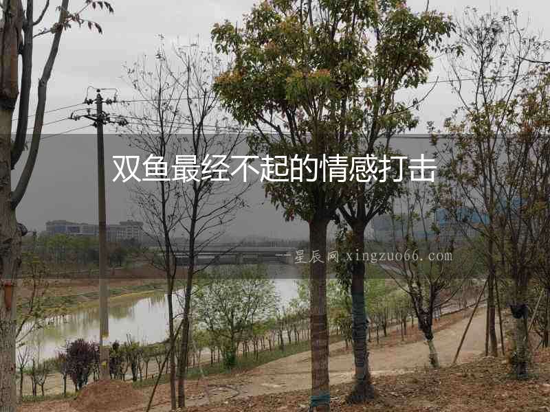 雙魚(yú)最經(jīng)不起的情感打擊