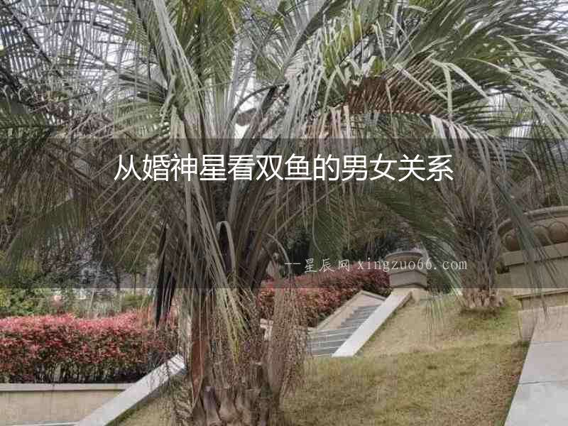 從婚神星看雙魚的男女關(guān)系