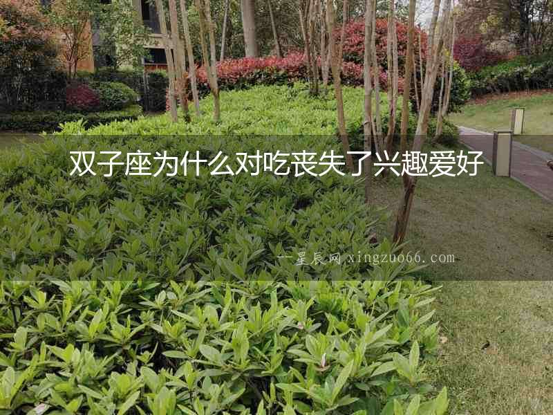 雙子座為什么對(duì)吃喪失了興趣愛好