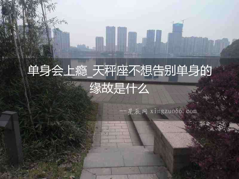 單身會上癮_天秤座不想告別單身的緣故是什么