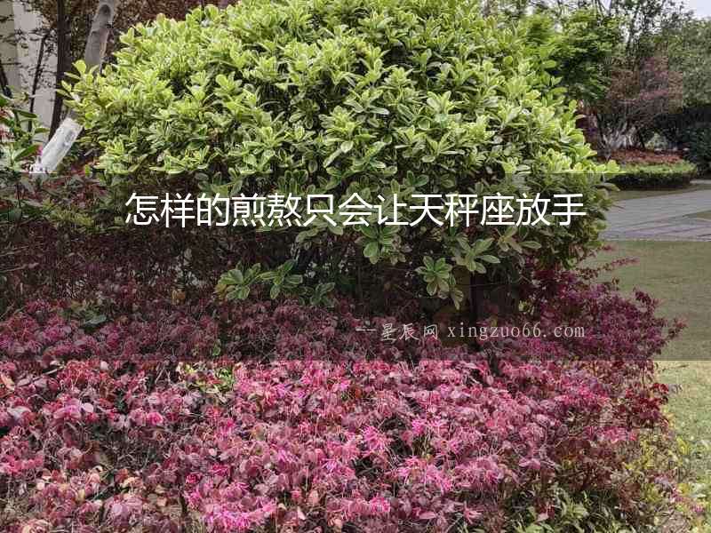 怎樣的煎熬只會讓天秤座放手