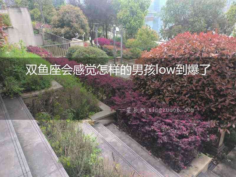 雙魚座會感覺怎樣的男孩low到爆了