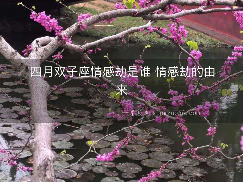 四月雙子座情感劫是誰 情感劫的由來