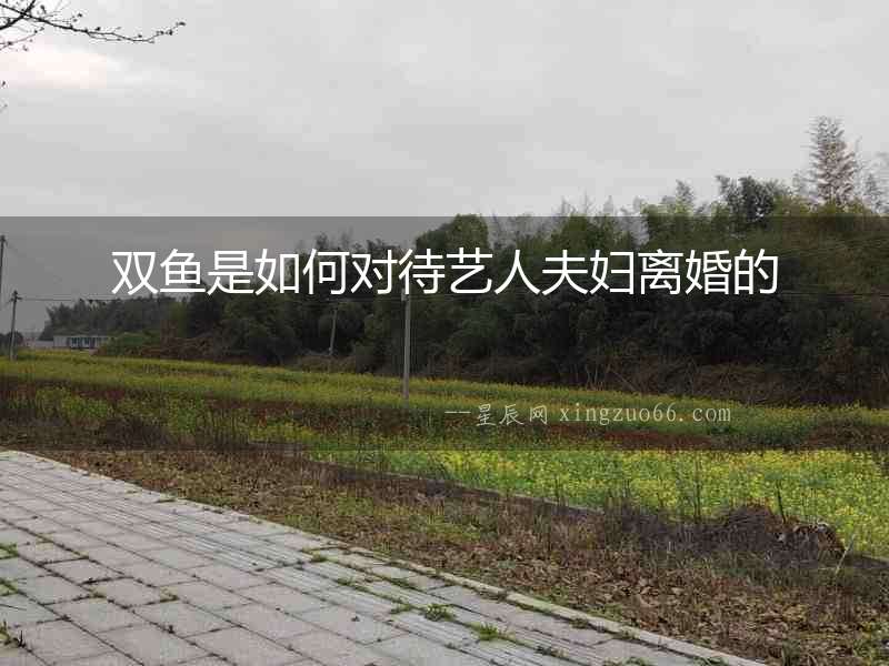 雙魚是如何對待藝人夫婦離婚的