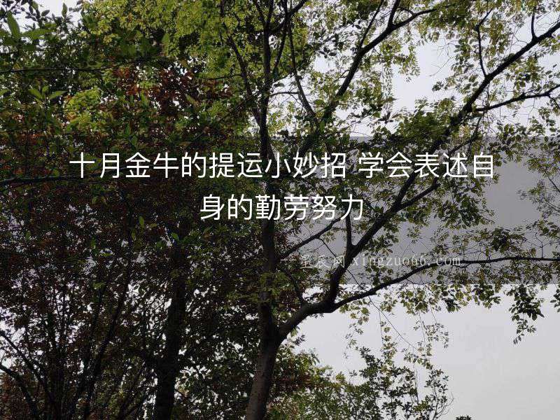 十月金牛的提運小妙招 學會表述自身的勤勞努力