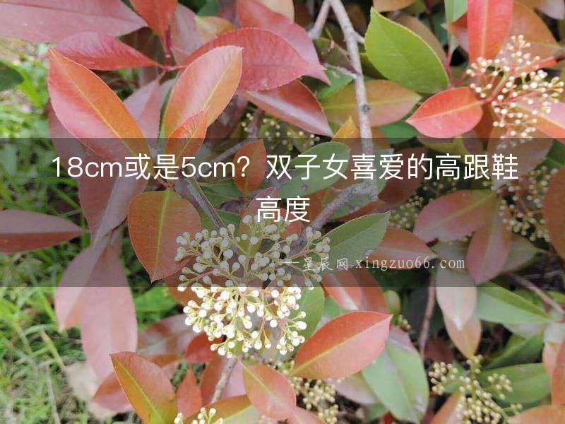 18cm或是5cm？雙子女喜愛的高跟鞋高度