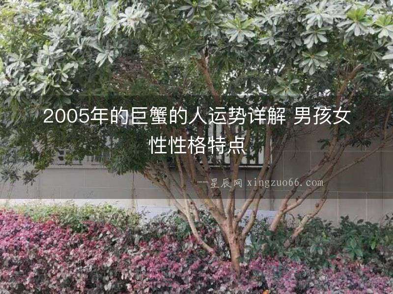 2005年的巨蟹的人運勢詳解 男孩女性性格特點
