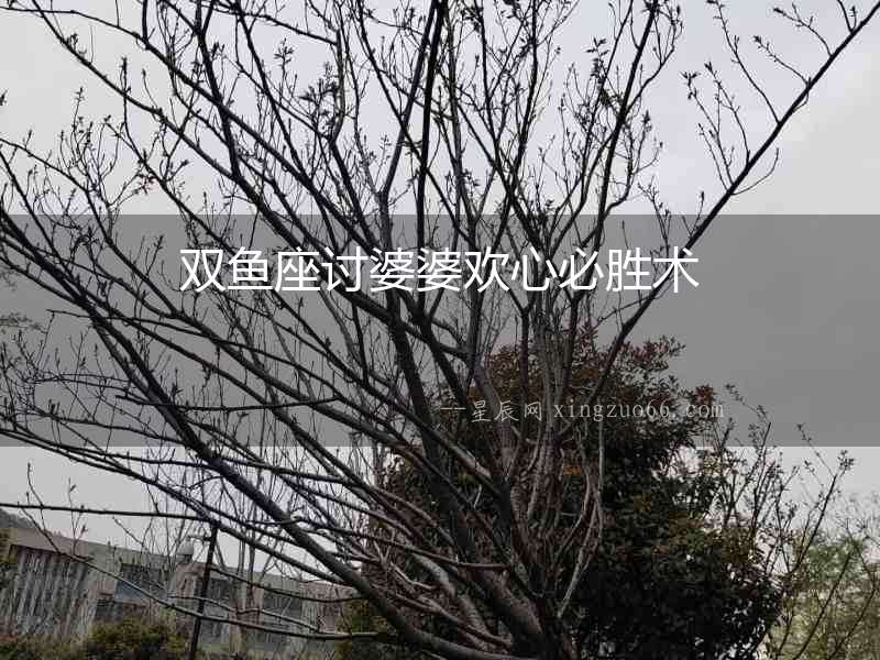 雙魚座討婆婆歡心必勝術