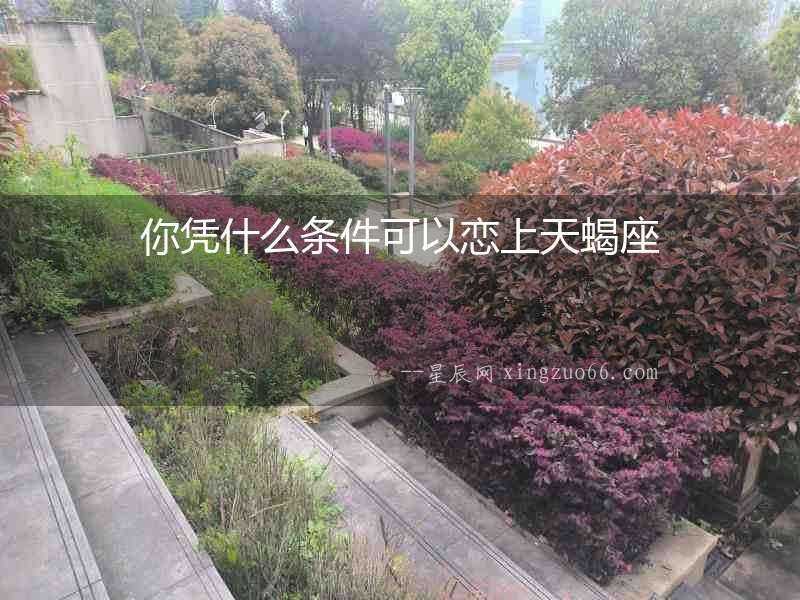 你憑什么條件可以戀上天蝎座