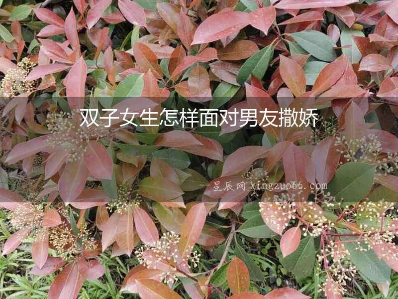 雙子女生怎樣面對男友撒嬌