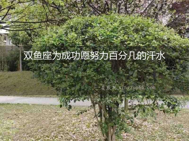雙魚座為成功愿努力百分幾的汗水