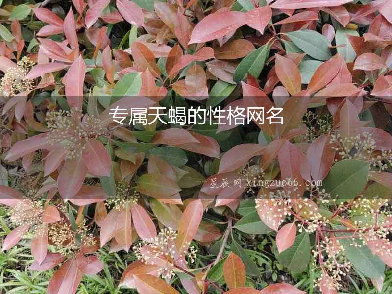 專屬天蝎的性格網名