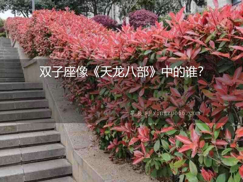 雙子座像《天龍八部》中的誰？