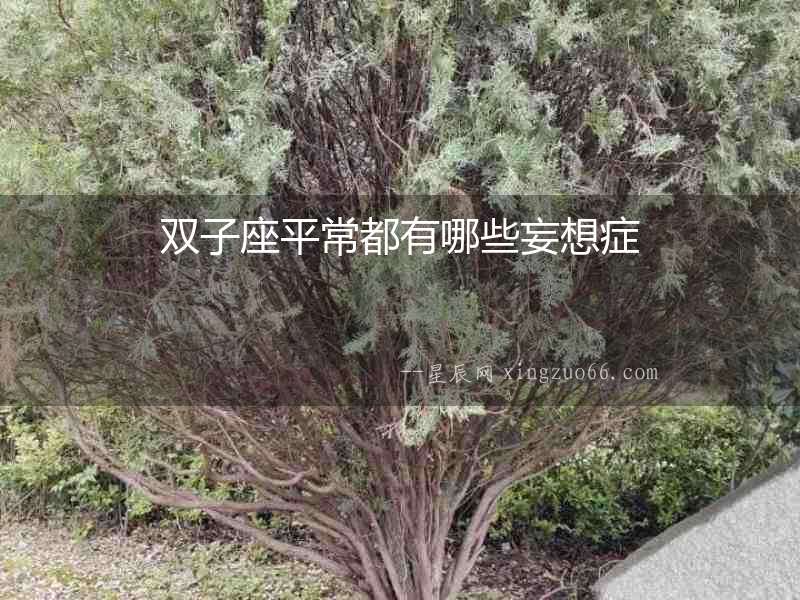 雙子座平常都有哪些妄想癥