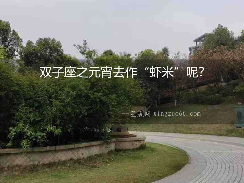 雙子座之元宵去作“蝦米”呢？