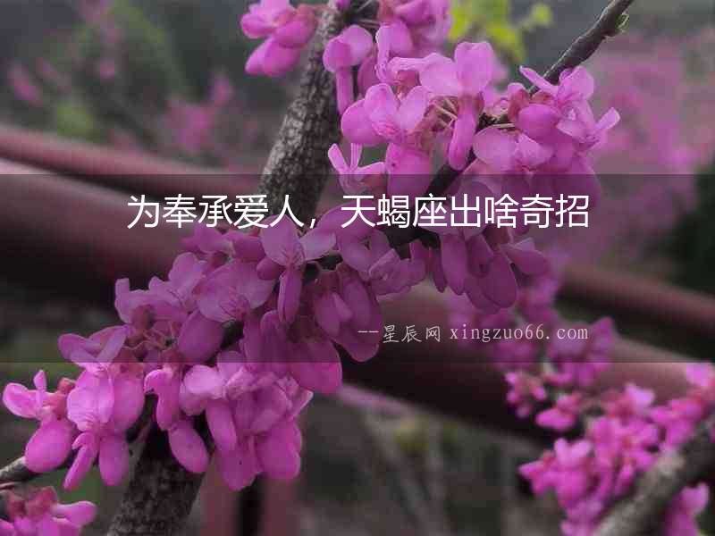 為奉承愛人，天蝎座出啥奇招