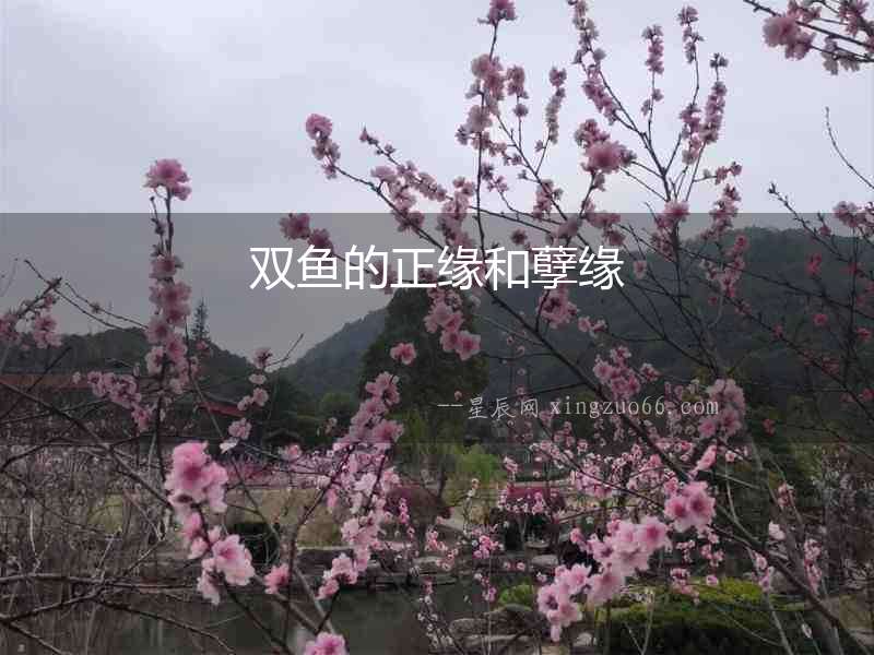 雙魚的正緣和孽緣