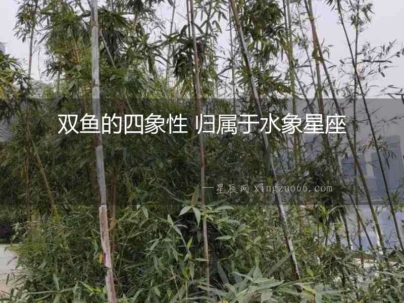 雙魚的四象性 歸屬于水象星座