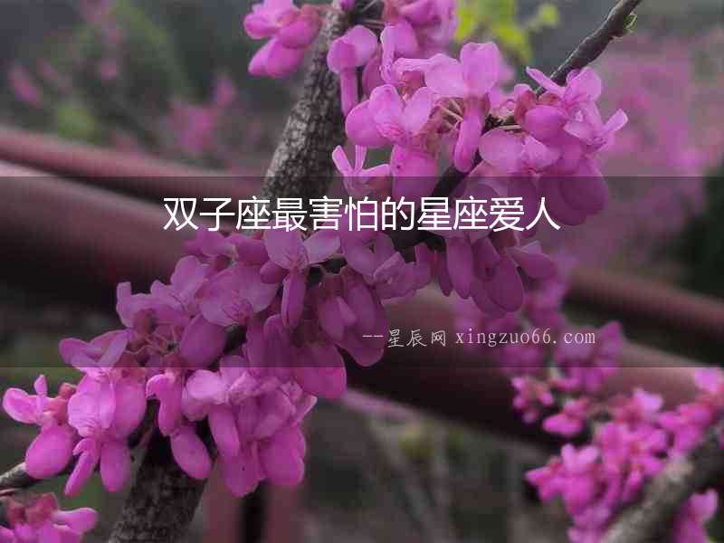 雙子座最害怕的星座愛人