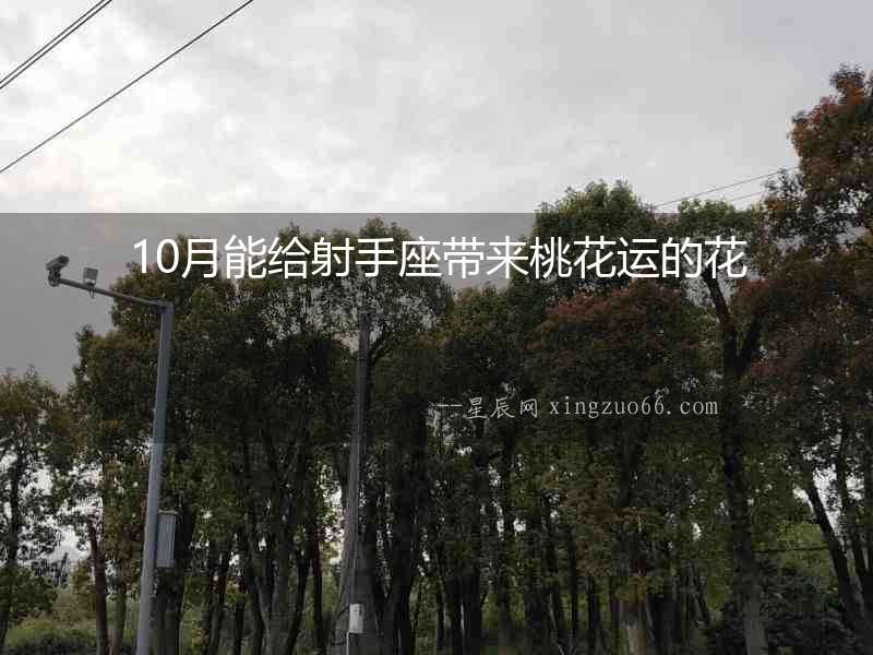 10月能給射手座帶來桃花運的花