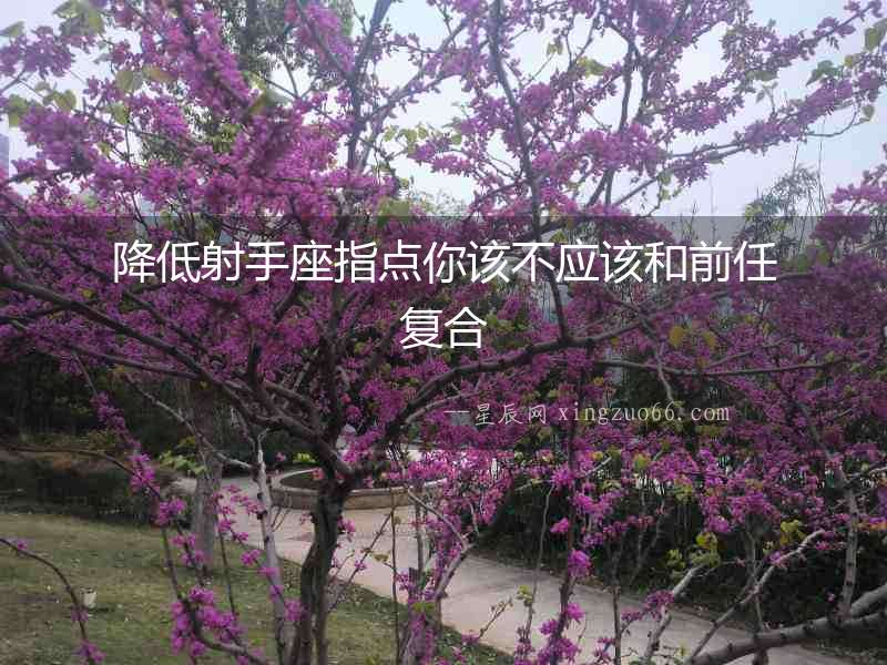 降低射手座指點你該不應該和前任復合