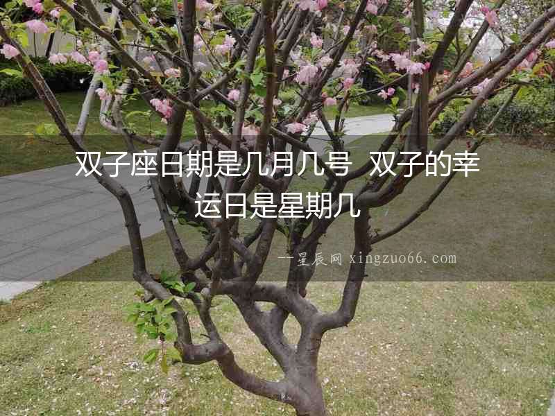 雙子座日期是幾月幾號  雙子的幸運日是星期幾