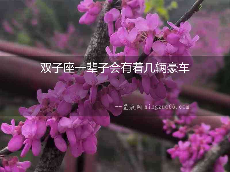 雙子座一輩子會有著幾輛豪車