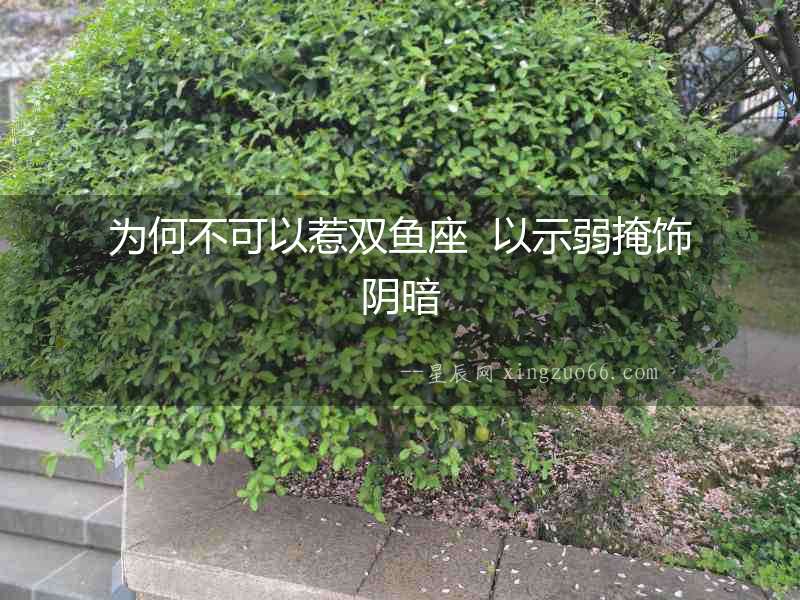 為何不可以惹雙魚座  以示弱掩飾陰暗