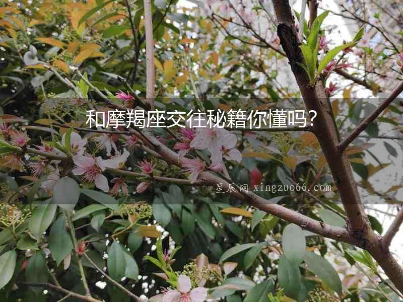 和摩羯座交往秘籍你懂嗎？