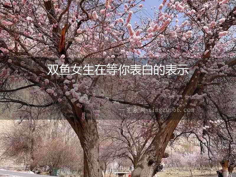 雙魚女生在等你表白的表示