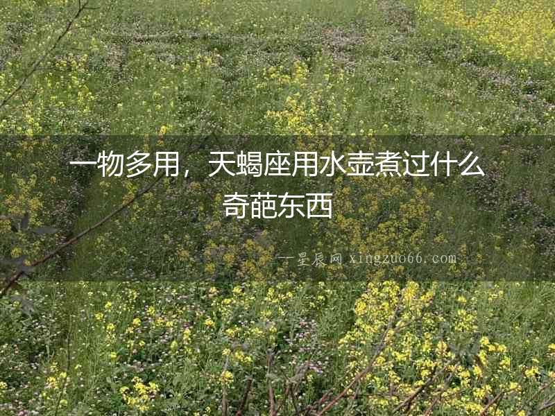 一物多用，天蝎座用水壺煮過什么奇葩東西