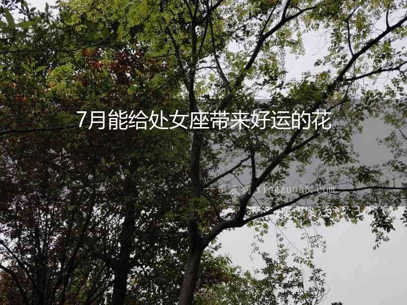 7月能給處女座帶來好運的花
