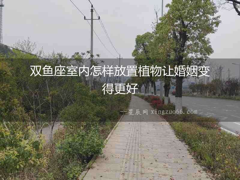 雙魚座室內(nèi)怎樣放置植物讓婚姻變得更好