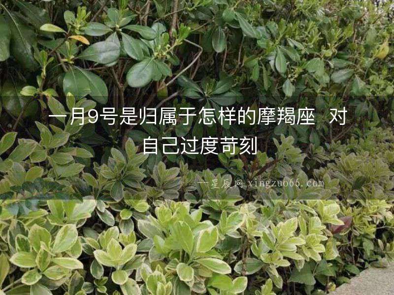 一月9號是歸屬于怎樣的摩羯座  對自己過度苛刻