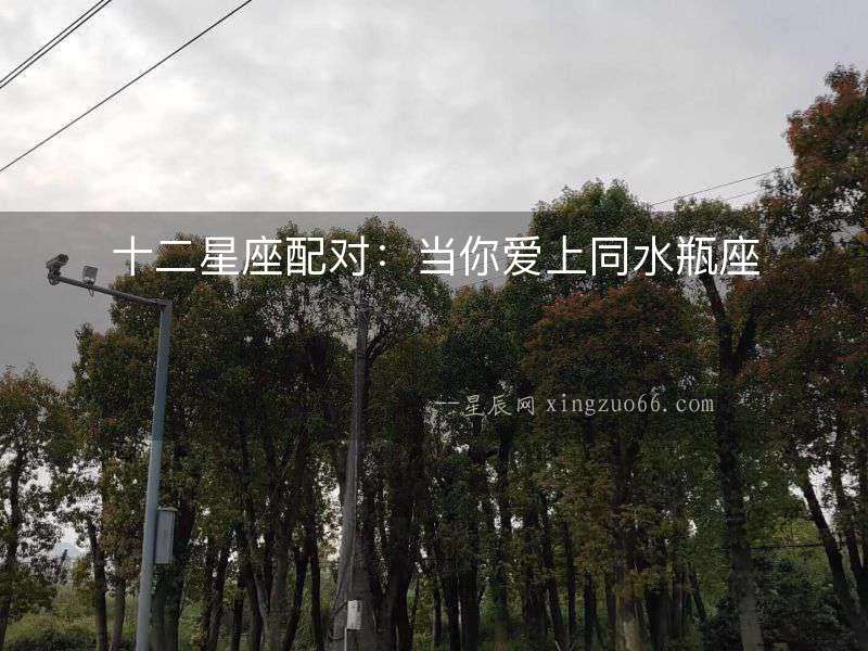 十二星座配對(duì)：當(dāng)你愛上同水瓶座