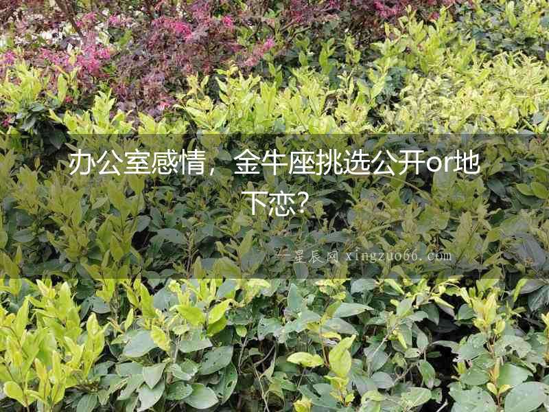 辦公室感情，金牛座挑選公開or地下戀？