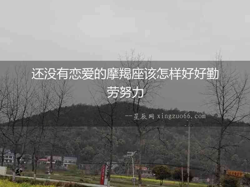 還沒有戀愛的摩羯座該怎樣好好勤勞努力