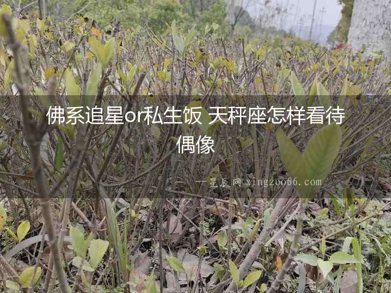 佛系追星or私生飯 天秤座怎樣看待偶像