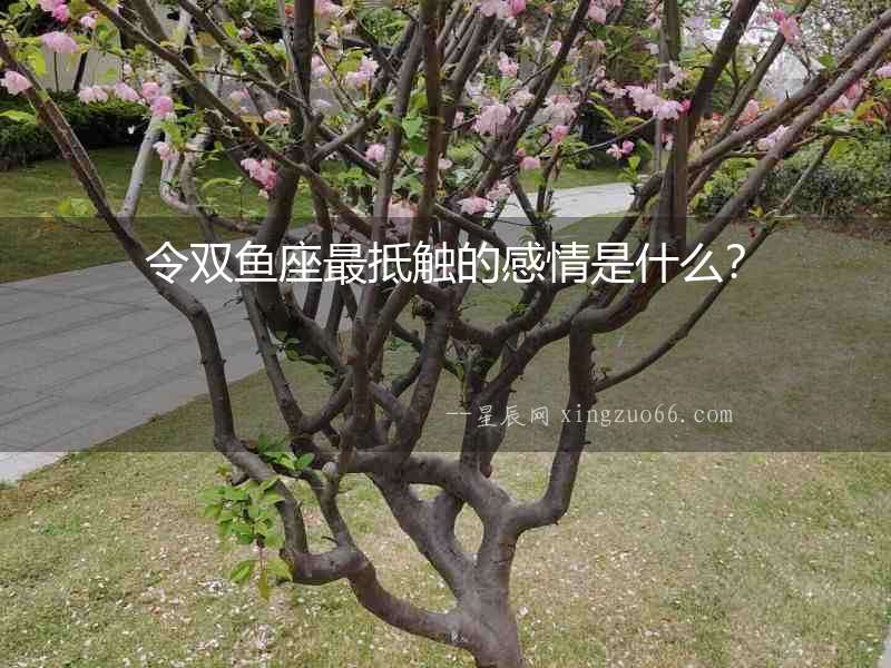 令雙魚座最抵觸的感情是什么？
