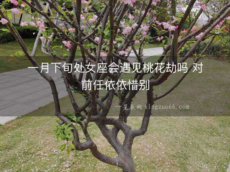 一月下旬處女座會遇見桃花劫嗎 對前任依依惜別